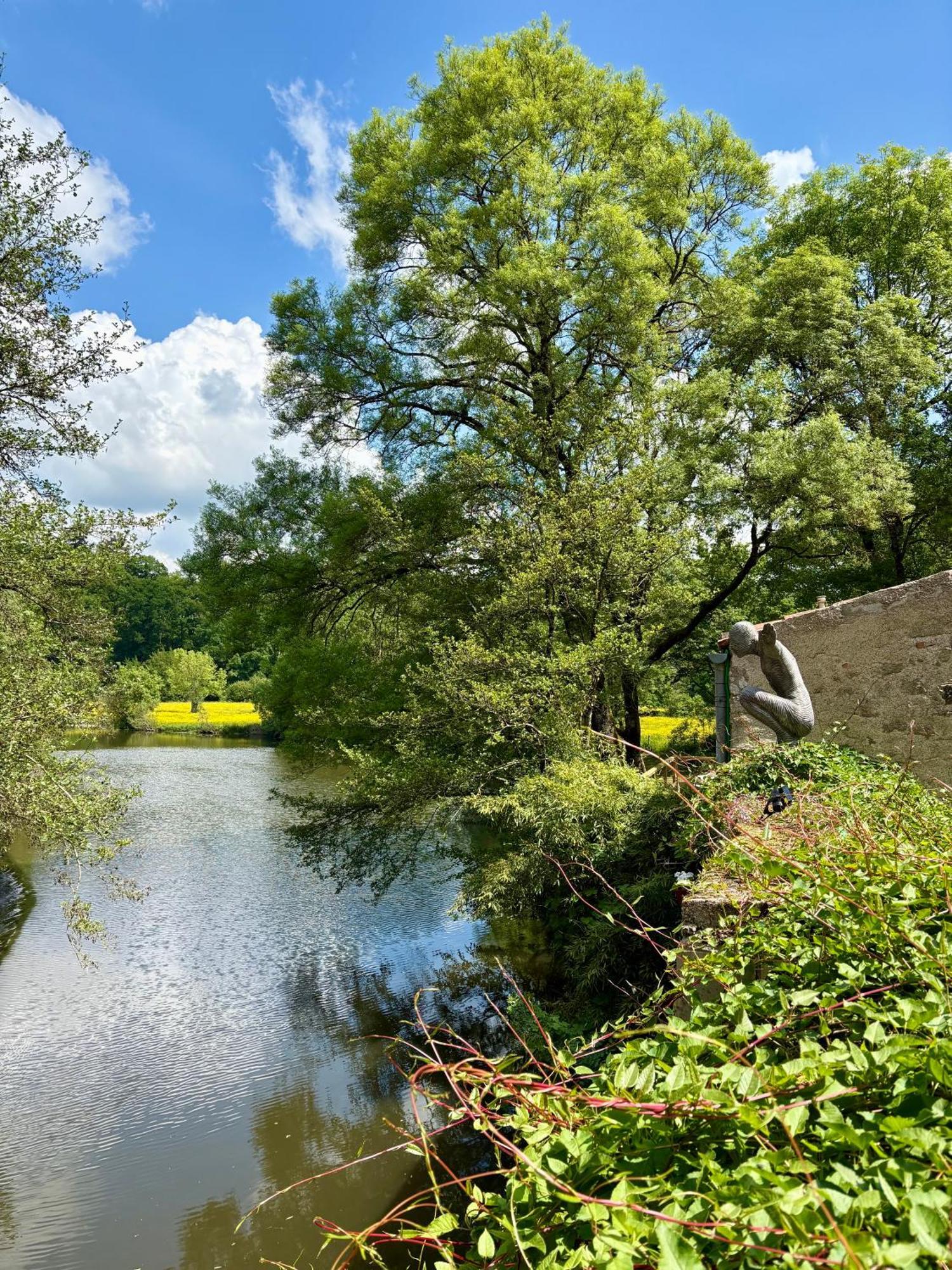 Chanverrie Le Moulin Du Guy, Proche Du Puy Dufou Bed & Breakfast エクステリア 写真